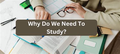 Why Do We Need To Study Champstreets Blog