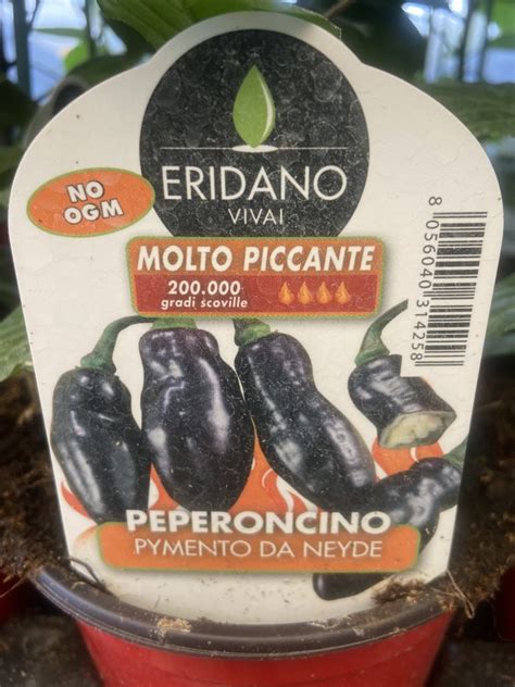 Peperoncino Pymento De Neyde Vaso Cm Vivaio Menzani