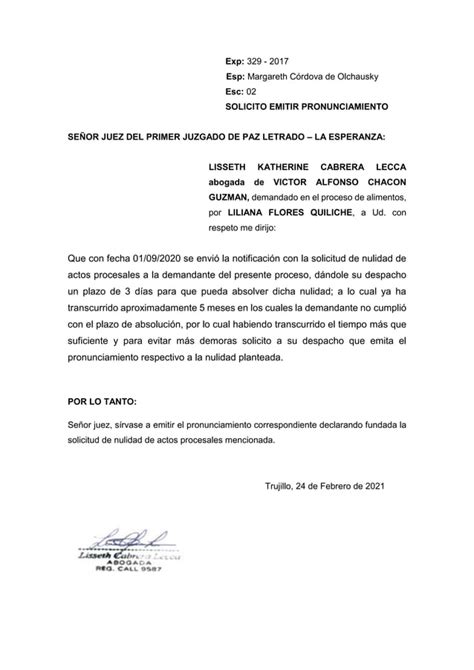 Solicito Pronunciamiento Pdf