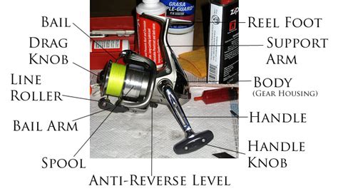 Shimano Spinning Reel Parts Diagram Reviewmotors Co