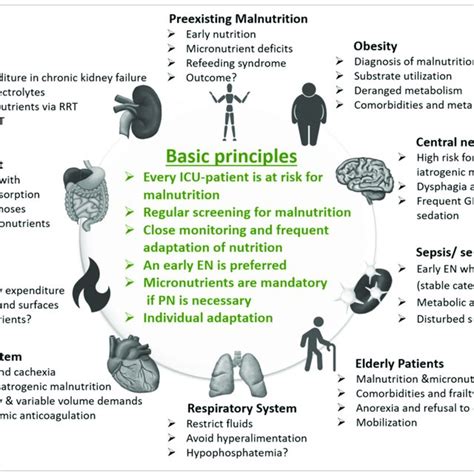 Overview Important Aspects Of Medical Nutrition Therapy In Different