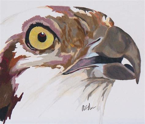 Bird Of Prey Osprey Painting By Steve Teets Fine Art America