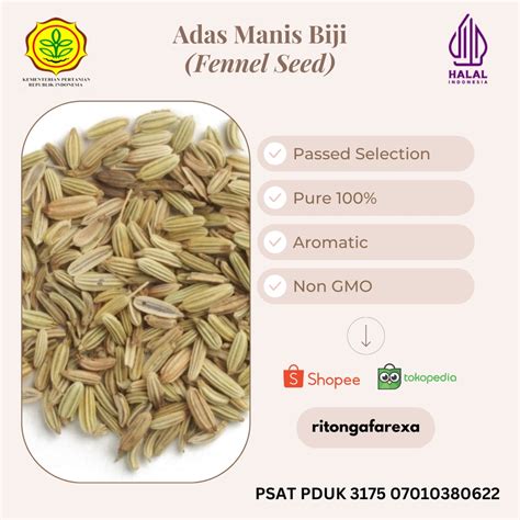 Jual Indian Fennel Seeds Biji Adas Manis Shopee Indonesia