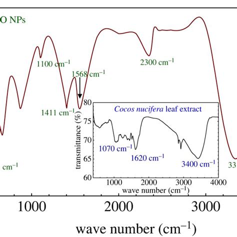 Ftir Spectrum Of Zno Nps Prepared Using Cocos Nucifera Leaf Extract Download Scientific