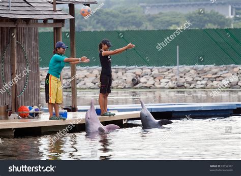 5 Dolphin Island Singapore Stock Photos, Images & Photography | Shutterstock