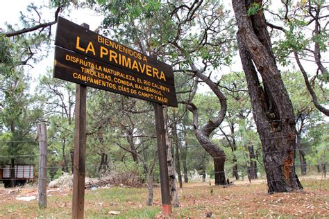 La fauna amenazada por los incendios en La Primavera Unión Jalisco