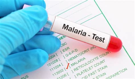 Malaria Test