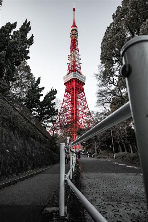 東京タワー撮影スポット巡り！