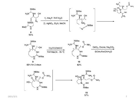 Synthesis Of Saxitoxin Fleming J J Du Bois