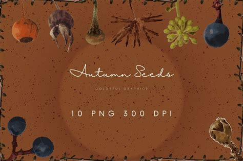 Autumn Seeds Graphic by All_Design98 · Creative Fabrica