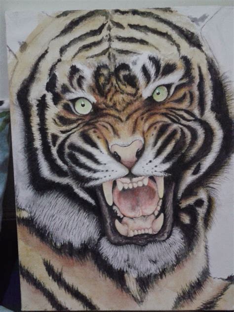 22 Gambar Harimau Lukisan Pensil - Riset