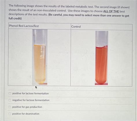 Solved The Following Image Shows The Results Of The Labeled Chegg