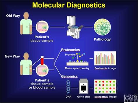 Molecular Diagnostics On The Rise