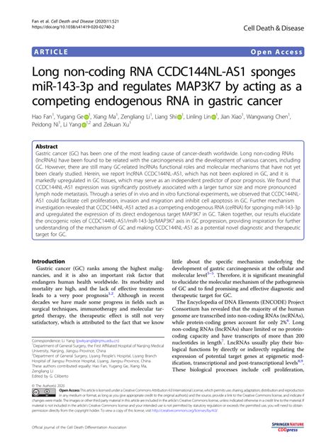 Pdf Long Non Coding Rna Ccdc Nl As Sponges Mir P And