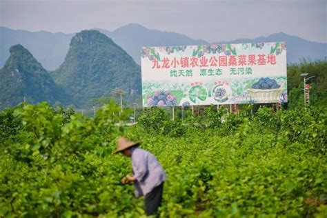 “全国扶贫日” 从这组数据看广东脱贫攻坚新变化南方网