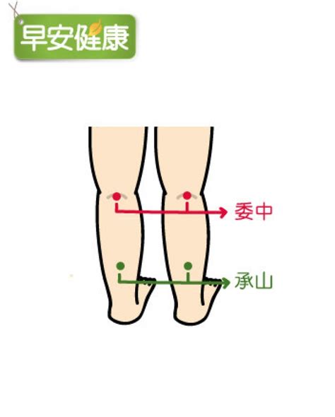 【登山醫學】擺脫運動後鐵腿！按對4穴道，6招消除肌肉痠痛 健行筆記