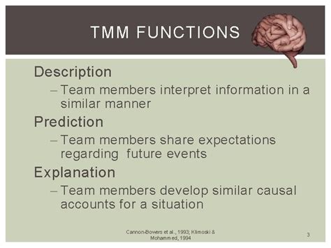 Optimizing Team Dynamics In Organizations Team Mental Models