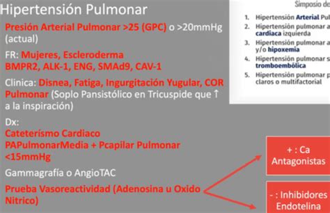 Hipertensi N Pulmonar Quizlet