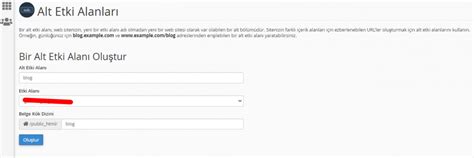 Cpanel De Subdomain Nas L Olu Turulur Limonhost