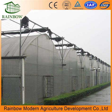 Modern Multi Span Tunnel Plastic Film Hydroponics Greenhouse For