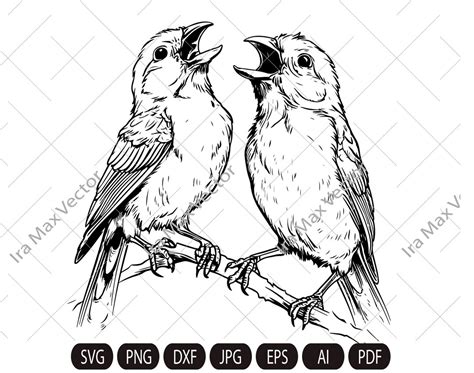 Canary SVG, Canary Bird Svg, Canaries Singing Svg, Pair of Canaries, Canary Png, Canary Clipart ...