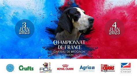 Résultats du championnat de France SCC 2023 Société Centrale Canine