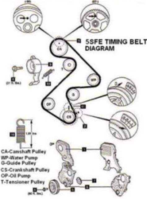 Timing belt diagram maintenance replacement – Your timing belt is the ...