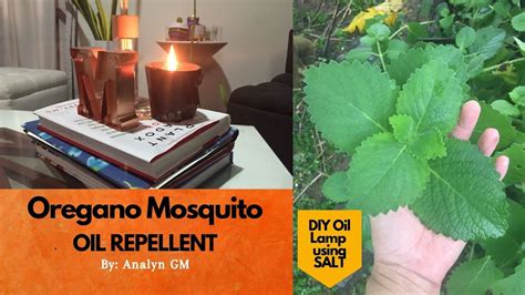 Oregano Mosquito Oil Repellent Diy Oil Lamp Diy Salt Lamp Waxless Lamp Youtube