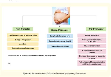 Figure 1 From Acute Abdomen In Pregnancy Expect The Unexpected Semantic Scholar