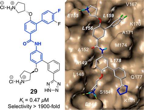 Structure Based Optimization Of Small Molecule Inhibitors For The β