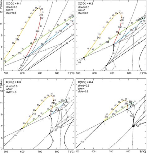 P T Phase Diagrams In The System Cfas H 2 O Co 2 At Constant Fluid