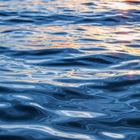 harborview  nautical collection