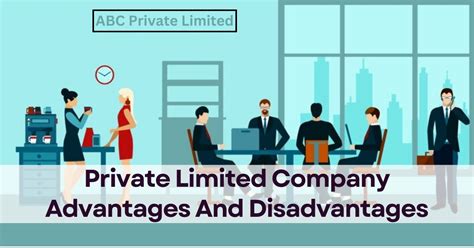 Advantages And Disadvantages Of Private Limited Company In 2024