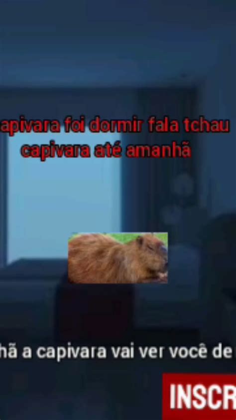 Quando Meus V Deo Acaba Vai Aparecer Isso Aqui Ent O Bye Capivara Youtube