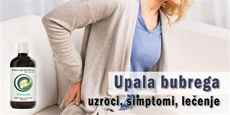 Upala bubrega uzroci simptomi lečenje Mediflora