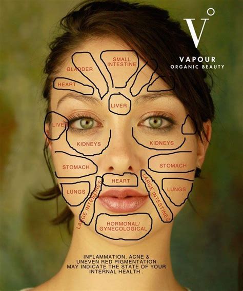 Acne Body Mapping Zones Skincare Face Mapping Beauty Care Health