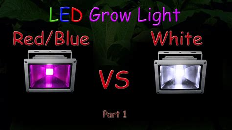 White LED Vs Red Blue LED Grow Light Grow Test Part 1 Educational