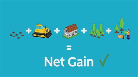 Biodiversity Net Gain Diagram