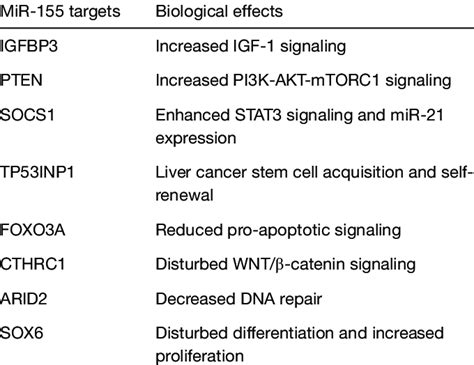 Oncogenic Effects Of Mir 155 In Hepatocellular Carcinoma Download