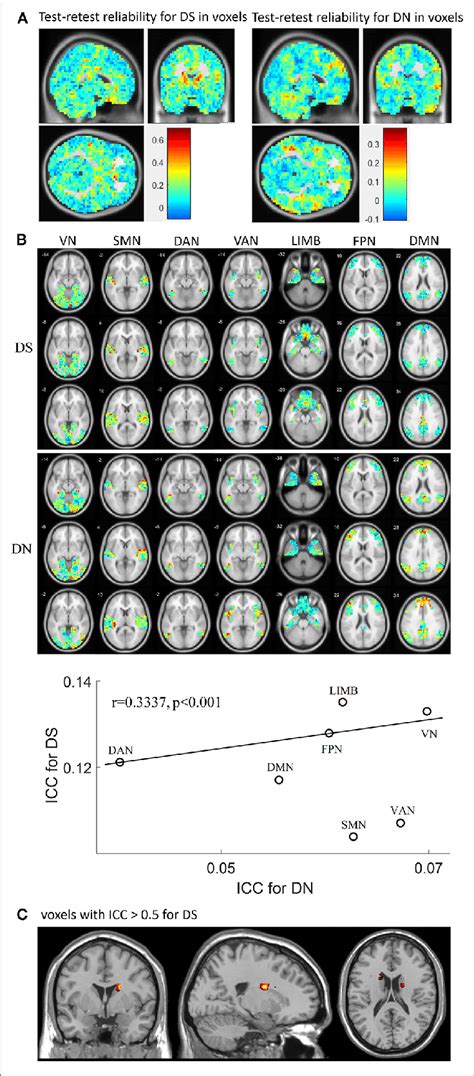 Test Retest Reliability For Ds And Dn A Shows Spatial Distribution