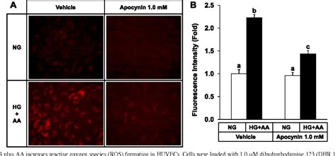 Figure From Laminar Shear Stress Inhibits Lipid Peroxidation Induced