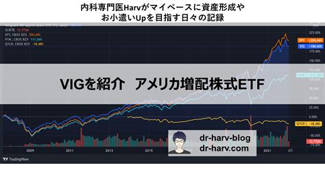 Vigを解説：アメリカの増配株式etfｰ10年連続増配銘柄の安定感が魅力