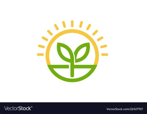 Sprout leaf circle sun logo Royalty Free Vector Image