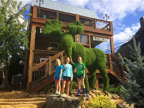 Eta Elizabeths Travel Adventures Lovin Blue Ridgegeorgia