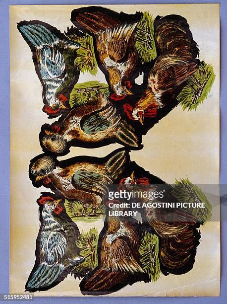 335 Paper Hen Stock Photos High Res Pictures And Images Getty Images