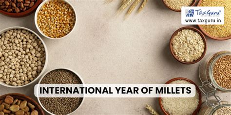 2023 International Year Of Millets