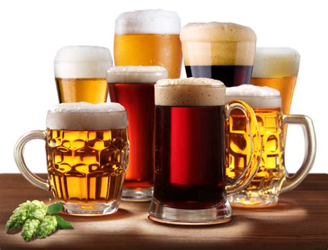 Pilsner vs Lager | MoreBeer