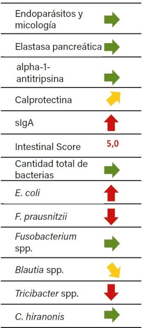 An Lisis De Disbiosis Y Mucho M S Diagn Stico No Invasivo De