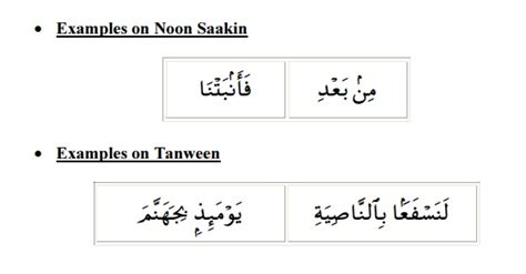 Mastering of Iqlab in Tajweed - Arabian Tongue