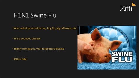 H1n1 Swine Flu Symptoms Causes Prevention Tests And Vaccination